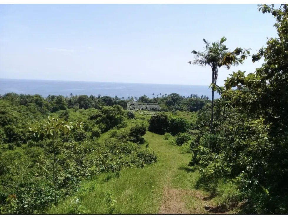 COLON / PLAYA CHIQUITA / 100 HECTAREAS / PARA DESARROLLO FRENTE AL MAR