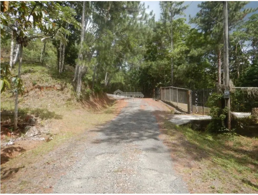 TERRENO / ALTOS DE CERRO AZUL / 2363M / CON PAISAJISMO / CLIMA FRIO