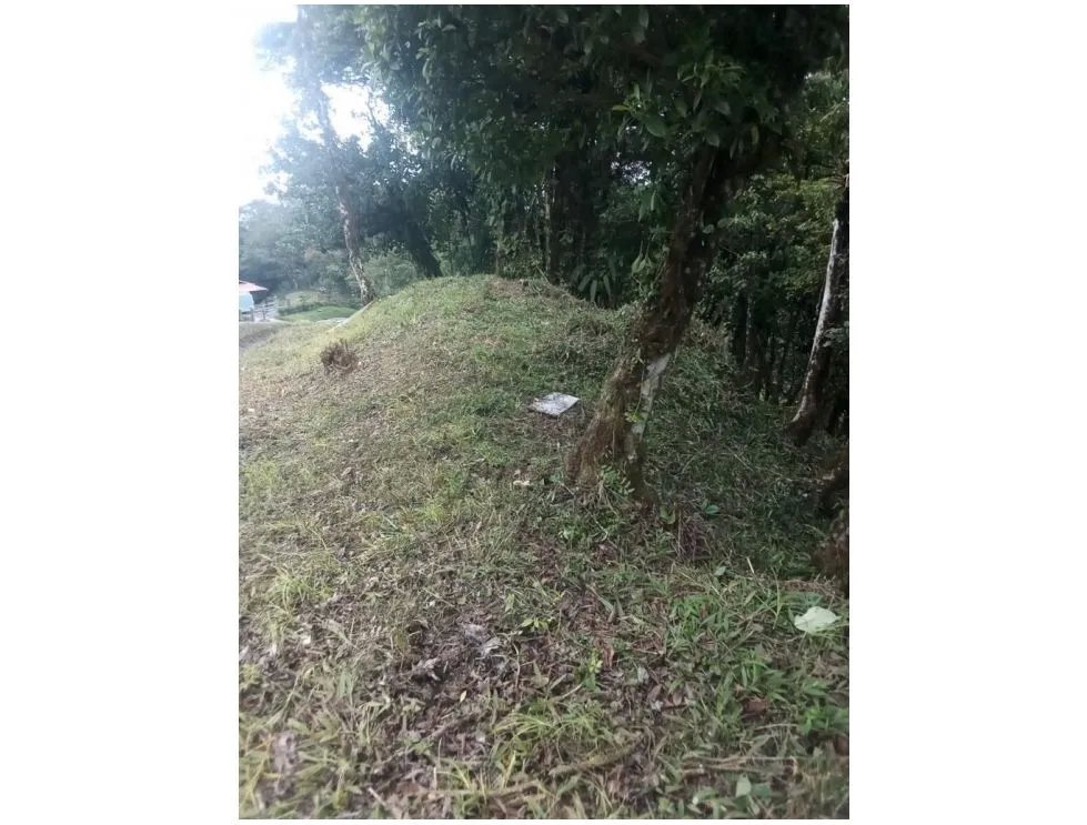 SE VENDE TERRENO EN ALTOS DEL MARIA URB. NAVARRA DE 2274M CLIMA FRIO