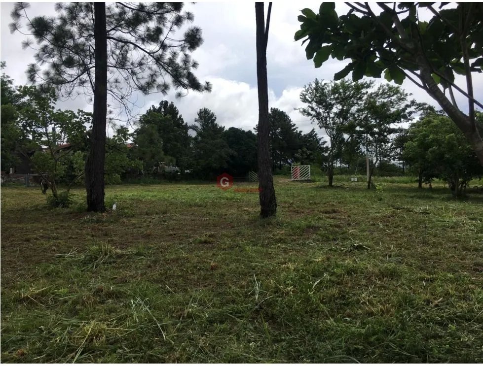 TERRENO COMERCIAL / FRENTE A CARRETERA PRINCIPAL VIA BOQUETE / 1430M