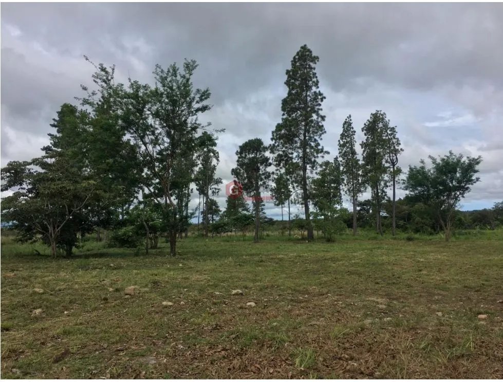 TERRENO COMERCIAL / FRENTE A CARRETERA PRINCIPAL VIA BOQUETE / 1430M