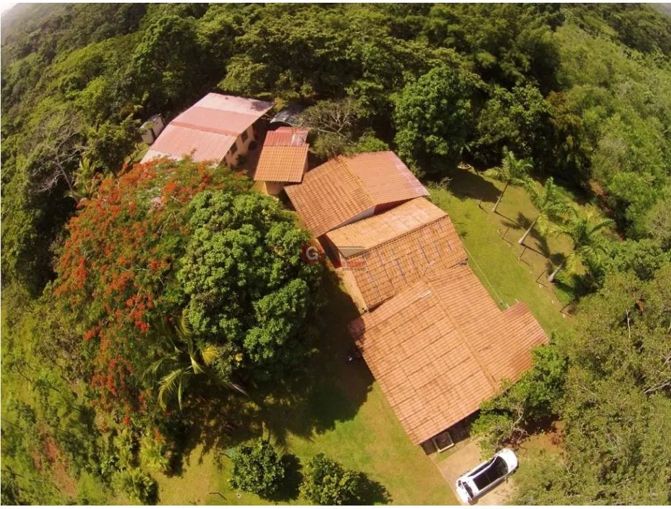 FINCA EN CHORRERA / EL LIRIO / 23.5 HECTAREAS / PRECIO NEGOCIABLE