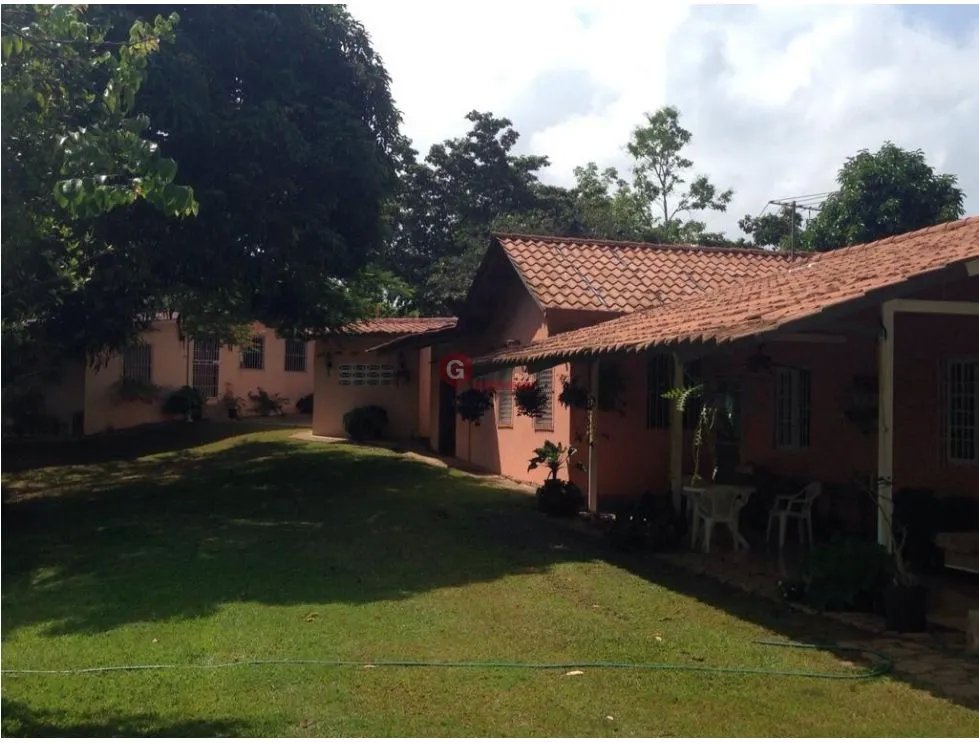 FINCA EN CHORRERA / EL LIRIO / 23.5 HECTAREAS / PRECIO NEGOCIABLE