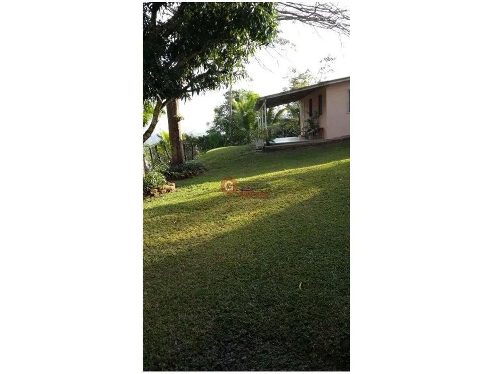 FINCA EN CHORRERA / EL LIRIO / 23.5 HECTAREAS / PRECIO NEGOCIABLE
