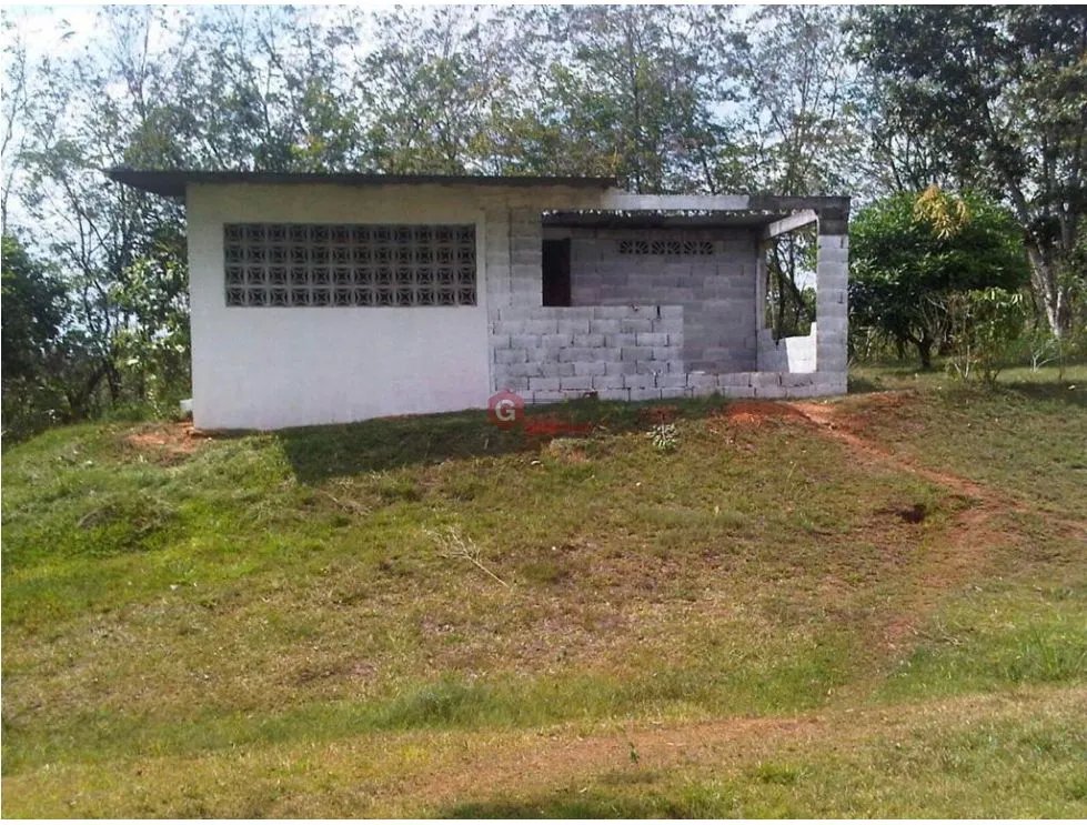 FINCA EN CHORRERA / EL LIRIO / 23.5 HECTAREAS / PRECIO NEGOCIABLE