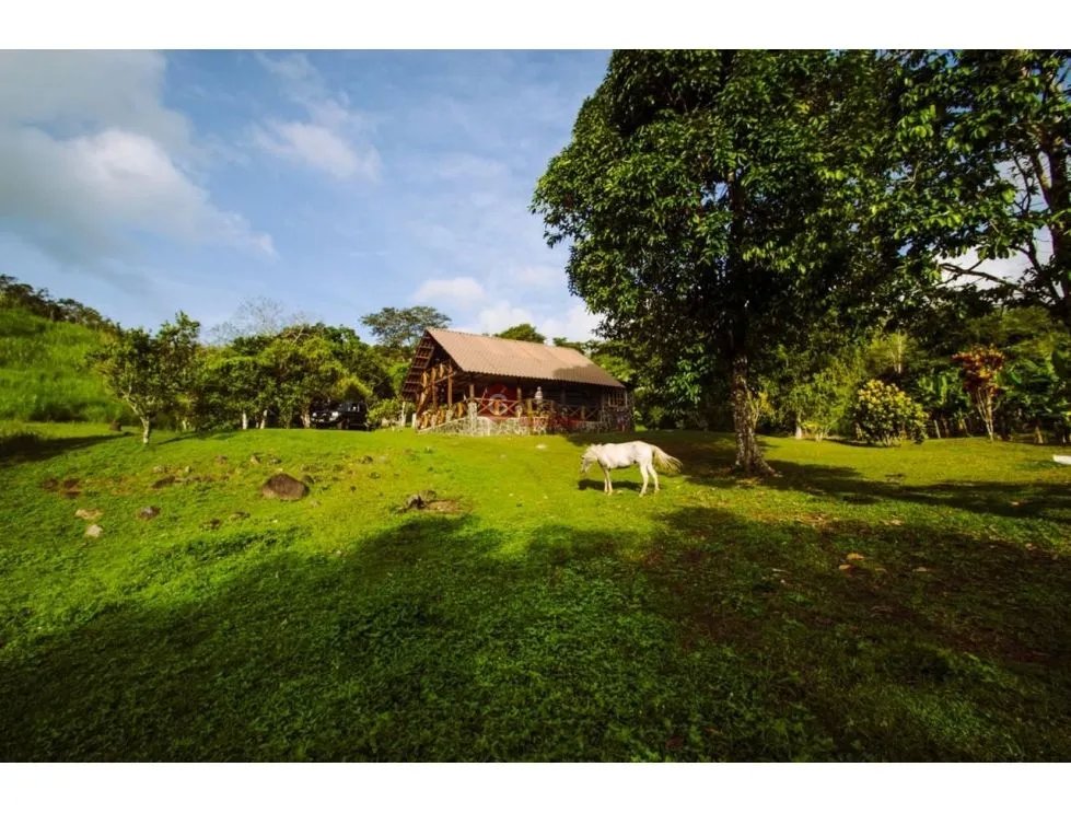 CERRO AZUL / FINCA CON CABAÑA / 52 HECTAREAS / RIO Y CASCADAS