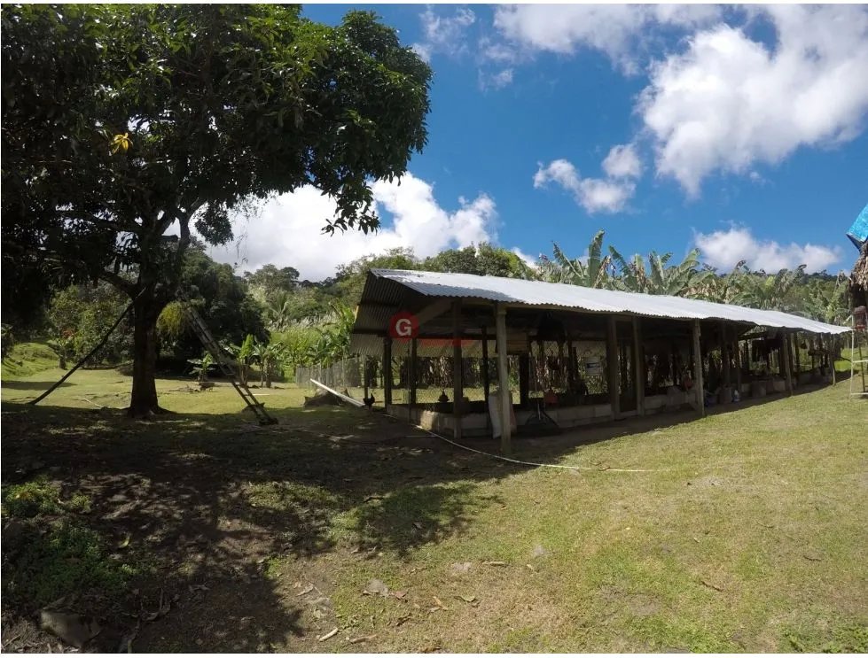 CERRO AZUL / FINCA CON CABAÑA / 52 HECTAREAS / RIO Y CASCADAS