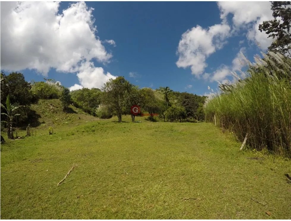 CERRO AZUL / FINCA CON CABAÑA / 52 HECTAREAS / RIO Y CASCADAS