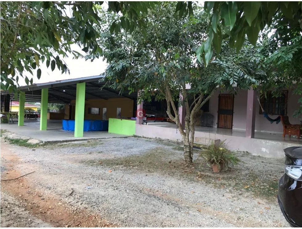 GANGA / COLON / FINCA / BUENA VISTA / 43.5 HECTAREAS / PARA DESARROLLO