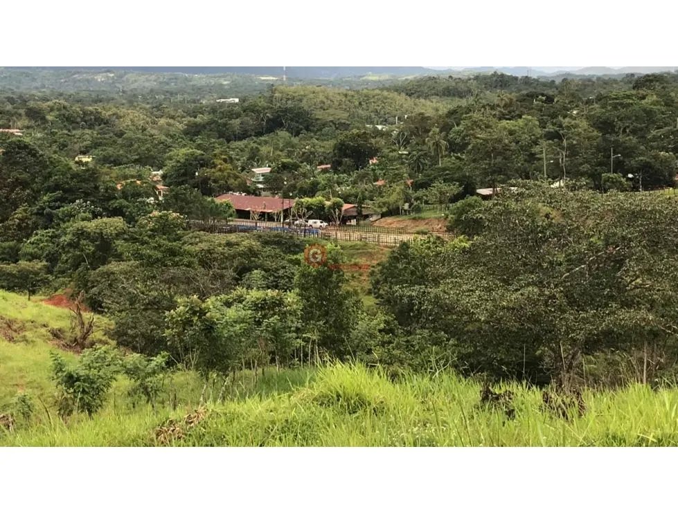 GANGA / COLON / FINCA / BUENA VISTA / 43.5 HECTAREAS / PARA DESARROLLO