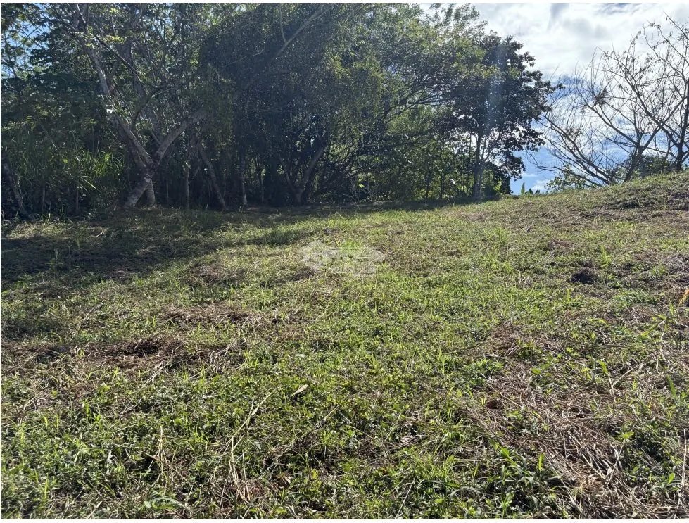 SAN CARLOS / EL ESPINO / 1554 M / TERRENO / VISTA MONTAÑAS AG