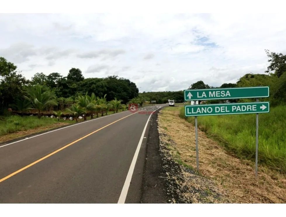 LA MESA DE VERAGUAS / TERRENO COMERCIAL / 15000M / VIA INTERAMERICANA
