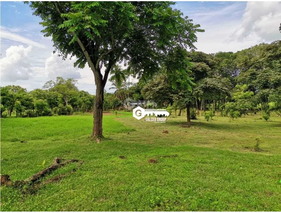CHAME / FINCA EN BEJUCO / 10 HECTAREAS / CERCA DE LA INTERAMERICANA
