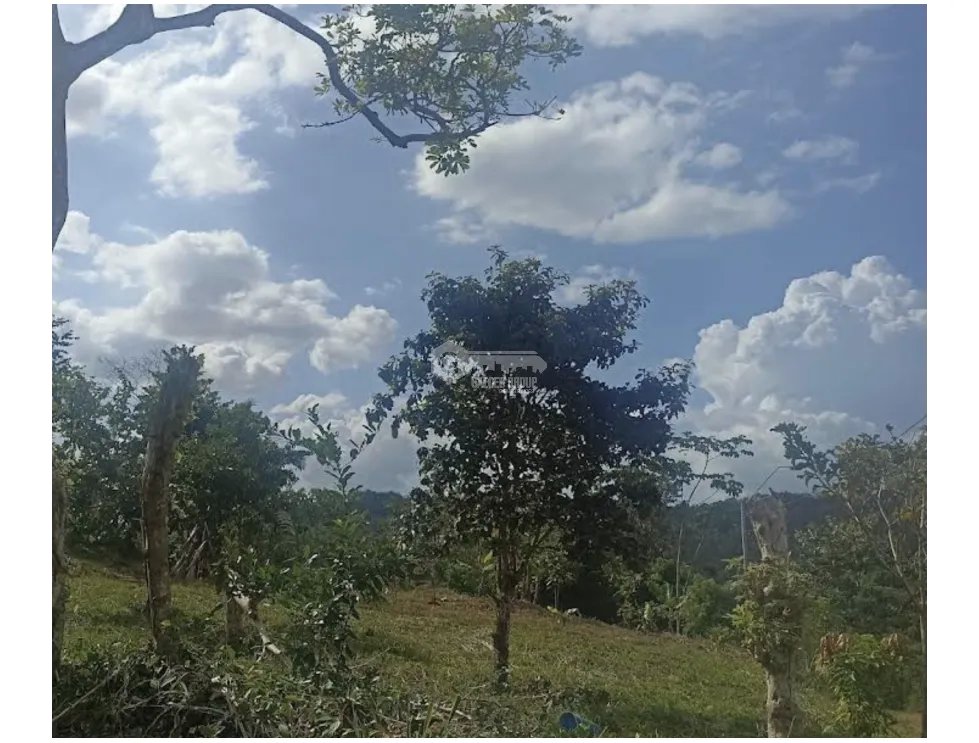 SE VENDE TERRENO COMERCIAL EN CAPIRA 1300M SOBRE VIA INTERAMERICANA