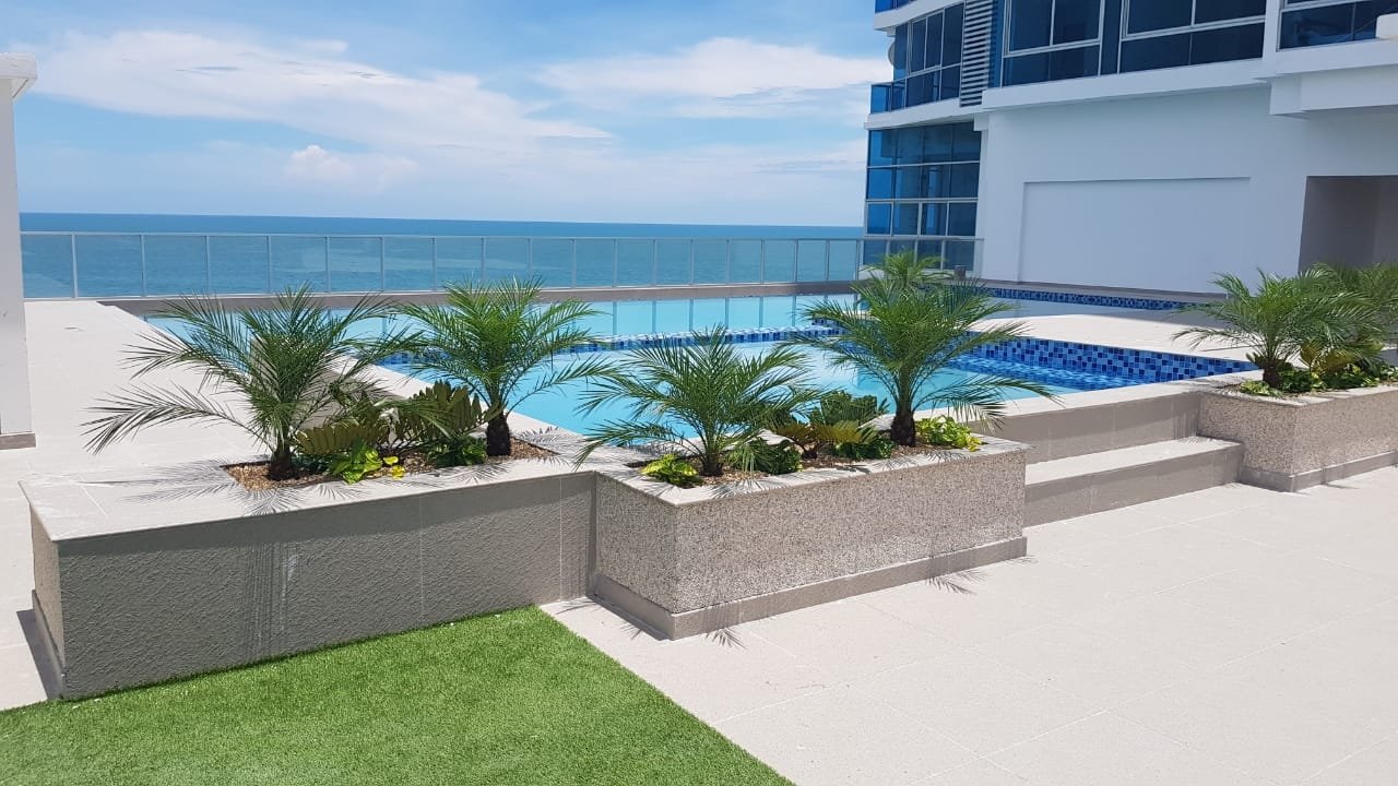 Gorgona - Royal Palm