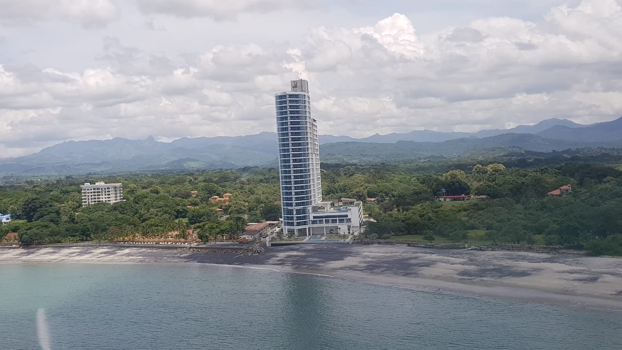 Gorgona - Royal Palm