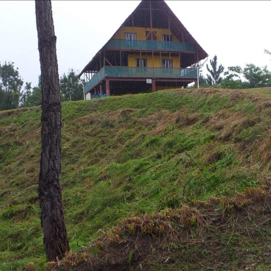Terrenos en venta como inversión forestal