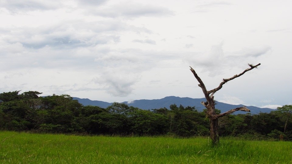 Chiriquí - Terrenos de inversión en Potrerillos