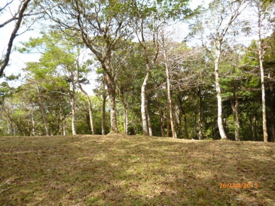 Lot in the Highlands of Altos del Mar