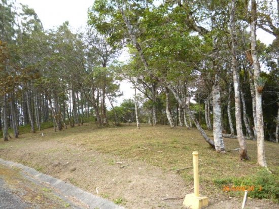 Lot in the Highlands of Altos del Mar