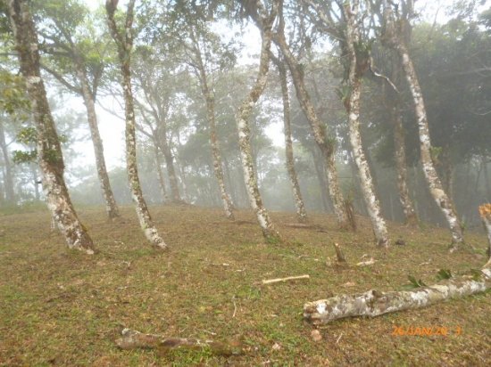 Lot in the Highlands of Altos del Mar
