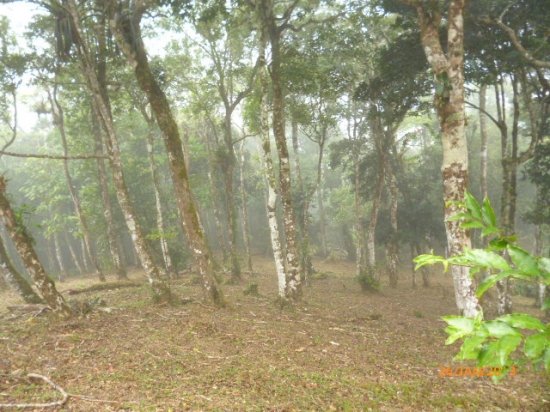 Lot in the Highlands of Altos del Mar