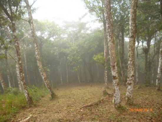 Lot in the Highlands of Altos del Mar