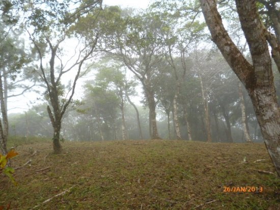 Lot in the Highlands of Altos del Mar