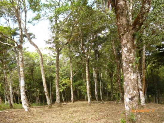 Lot in the Highlands of Altos del Mar