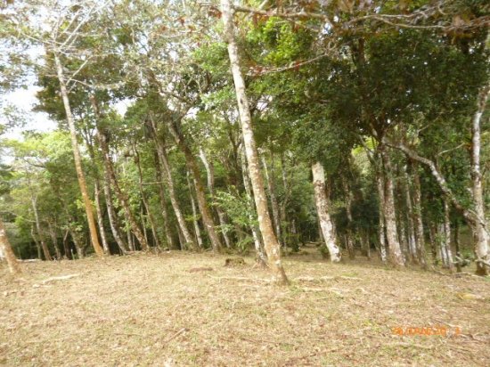 Lot in the Highlands of Altos del Mar