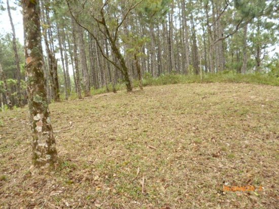 Lot in the Highlands of Altos del Mar
