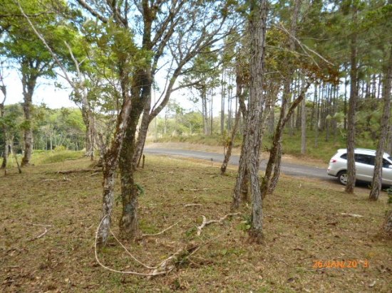 Lot in the Highlands of Altos del Mar
