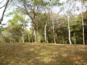 Lote en las monta