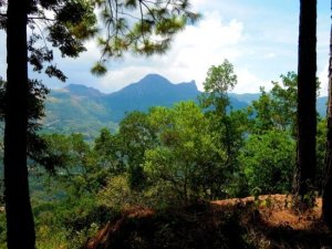 2 lotes con vistas a las monta