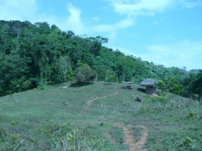 1034 - Cañita - fincas