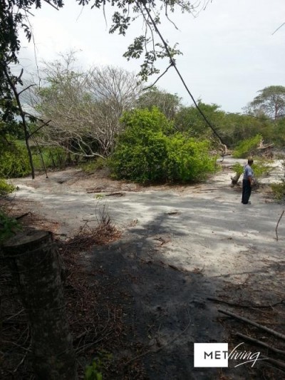 103418 - Rio hato - lotes