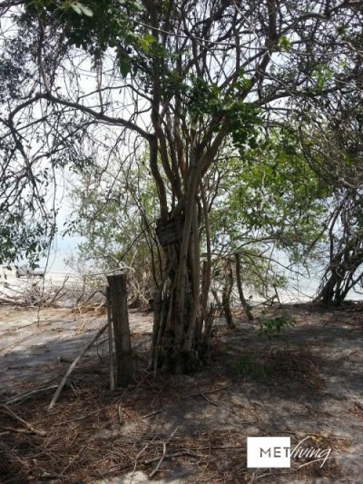 103419 - Rio hato - lotes