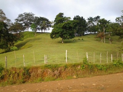 10512 - Llano grande - propiedades