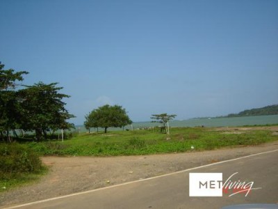 105981 - Portobelo - lots