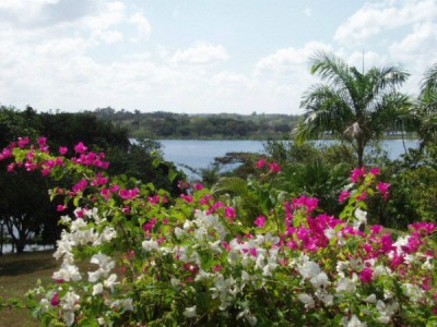 10865 - La Chorrera - lots