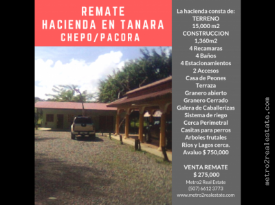 108755 - Chepo - properties