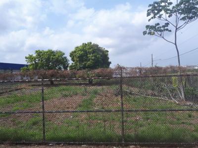 109144 - Punta pacifica - lotes