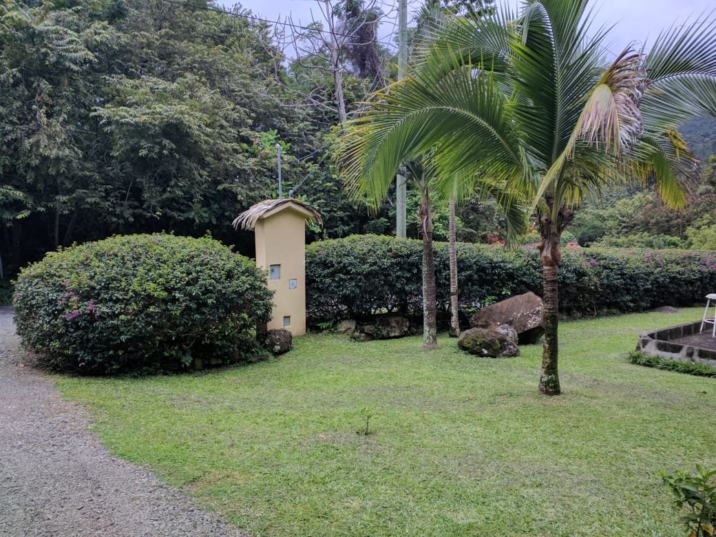 Bucolic Beauty