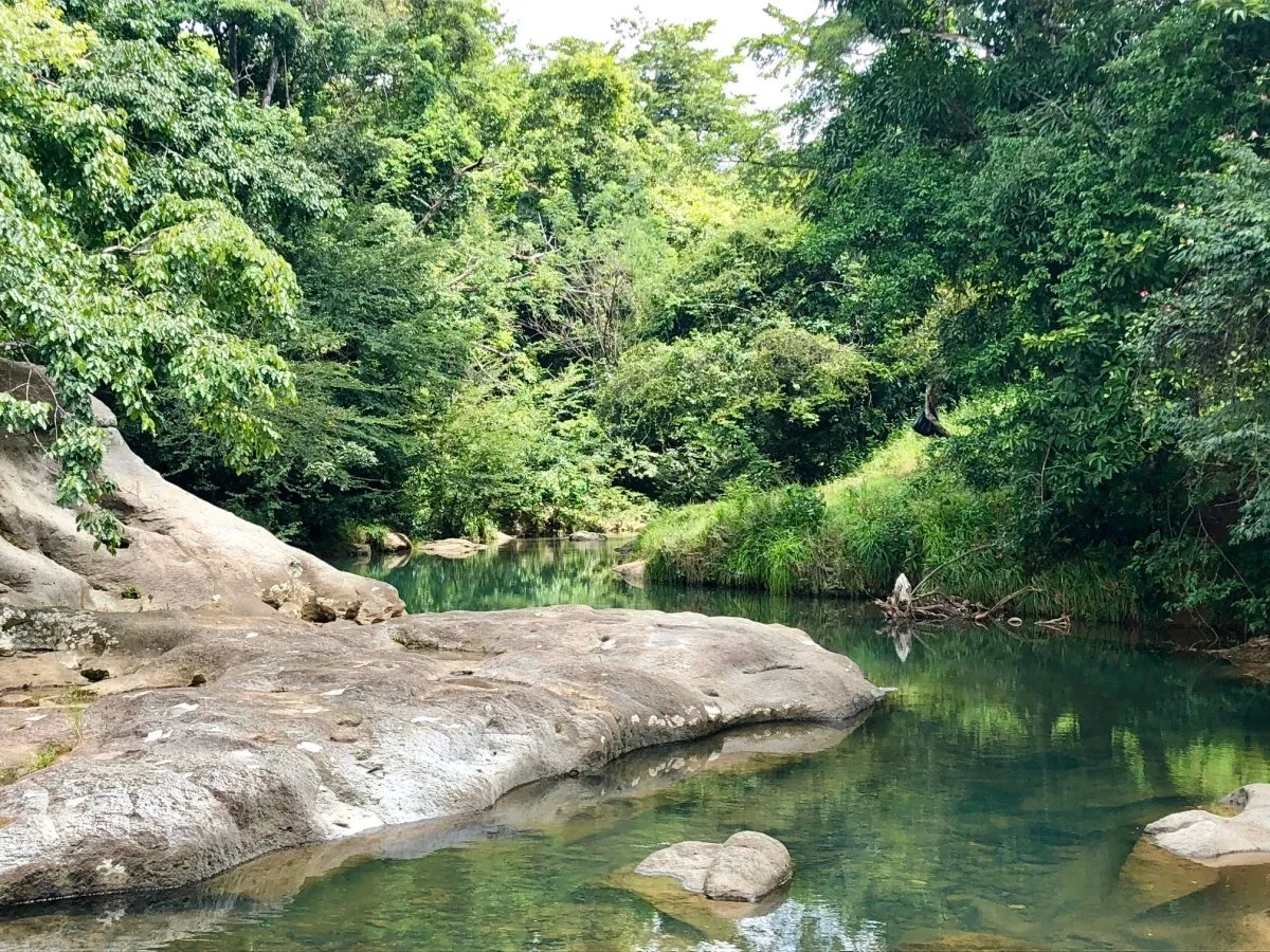 3.5 HA for sale, bordering river with beautiful natural swimming pool.