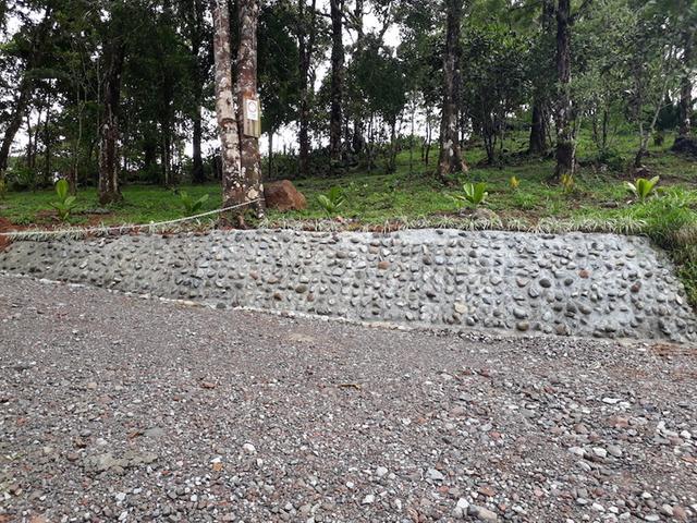Lote de Casa en Venta en La Pintada