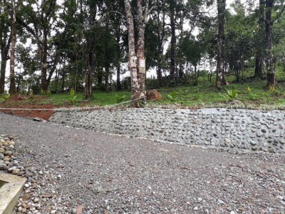 110765 - La Pintada - lots