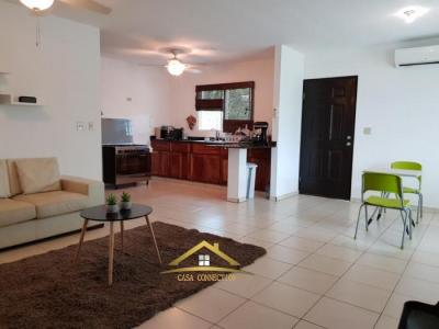 112635 - David - casas - residencial madre terra