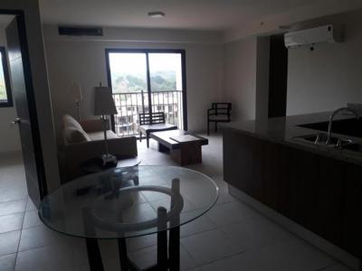 112902 - Albrook - apartamentos - embassy village