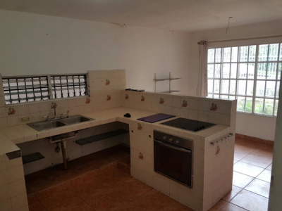 113576 - La pulida - properties