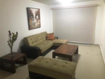 113655 - Altos de panama - apartments - altamira gardens